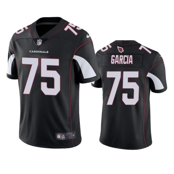 Max Garcia Arizona Cardinals Black Vapor Limited Jersey